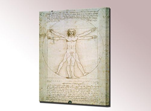Vitruvian Man Proportions of the Human Figure Canvas Print by Leonardo da Vinci Framed Wall Art Picture Ready to Hang High Quality Stretched Home Decor Framed Reproduction Framed Wall Art (40 x 29 cm)