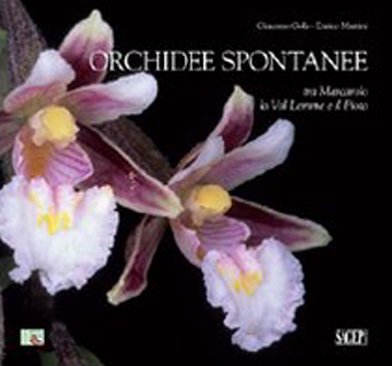 Orchidee spontanee tra Marcarolo la Val Lemme e il Piota. Ediz. illustrata Orchidee spontanee tra Marcarolo la Val Lemme e il Piota. Ediz. illustrata