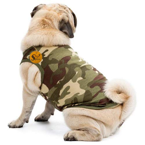 Dog jacket for cold weather Clearance