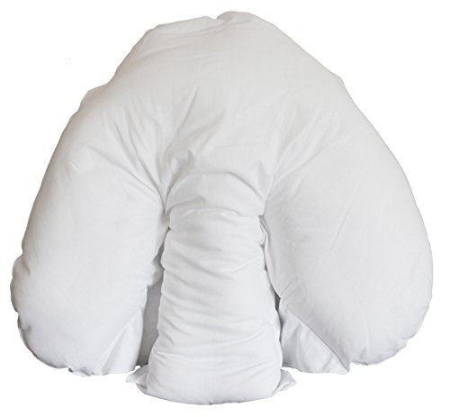 CosyDreams (TM) WingBack Pillow with FREE Pillowcover
