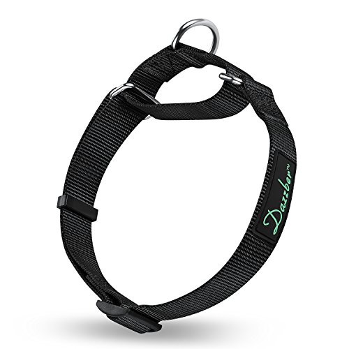 dazzber martingale collar