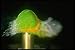 Produktbild 677008 Bullet Impact Egg A4 Photo Poster Print 10x8