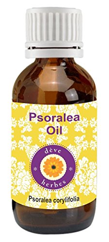 Pure Psoralea Oil 50ml (Psoralea corylifolia) 100% Natural & Pure Therapeutic Grade