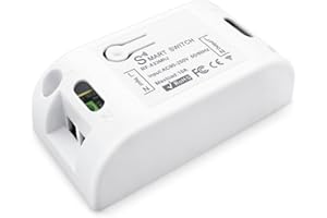 Tedeligo Kit interruttore wireless (1 ricevitore), relè interruttore mobile CA 220V 230V 240V Ricevitore RF Trasmettitore radio 433Mhz Portata di controllo 100 metri per illuminazione
