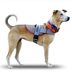 Starfish Dog Harness -No-Pull Reflective Breathable Adjustable Pet Vest with Handle for Outdoor Walking - No More Pulling, Tugging or Choking (Grey, Small)