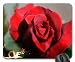 Produktbild Love Don 't Let Me Wait. Mauspad, Mousepad (Blumen Mauspad)