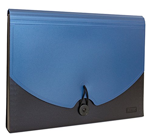 Idena 10079 Fächermappe DIN A4, PP, 12 Fächer, blau/schwarz