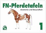 FN-Pferdetafeln Set 1: Anatomie und Gesundheit: Enthält...