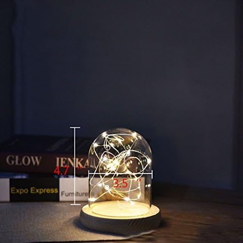 Agywell Glass Dome Lamp Bell Jar Display Dome wooden Base Battery and USB Operated LED Fairy Light ideal for Decoration Anywhere. (4.7inch)