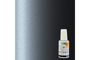 CARSKY stylo retouche peinture carrosserie compatible avec Renault Gris Titanium Nacre KPN (flacon pinceau 20ml) + vernis brillant (flacon pinceau 20ml)