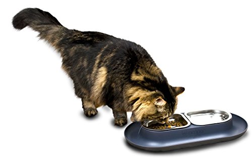 Hepper NomNom - Spill Proof Elevated Cat Bowls for Food and Water - Whisker Relief Cat Bowl + Raised Cat Food Bowls: a Safe Cat Dish for Messy Cats - Stainless Steel Cat Bowl Station