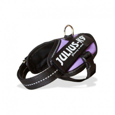 Julius-K9-IDC-Powerha
