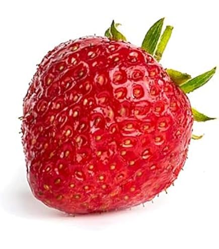 Fragaria x ananassa 'Mara de Bois', Erdbeere im Pflanzenshop