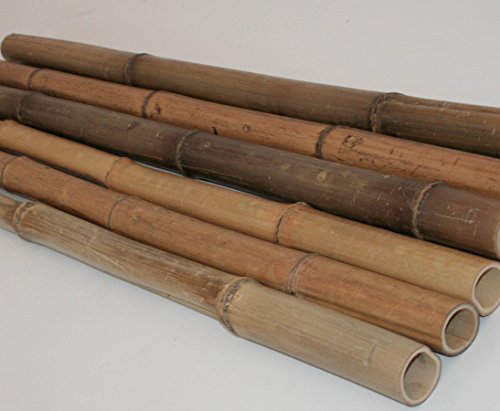 Bambusrohr Moso 200cm gelbbraun Durch. 2 bis 4cm, hitzebehandelt – Bambus Rohr Bambus Latten farbige Bambusrohre Bamboo Bambus Halbschale Bambusstangen –> großes Sortiment an Bambusrohre und Rohre aus Bambus Bambus-Rohre - 4