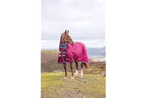 Shires Highlander Original 300 Combo Turnout Rug - Raspberry