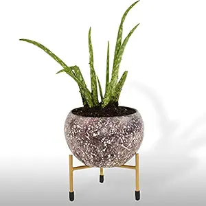 HINS Dark Chocolate Pattern Metal Round Shape Flower Plant Pot For Indoor Plants (Purple wine Without Stand) Metal Pots For Indoor Plants I Elevated Garden Planter I Raised Planter I Desk Plant I Raised Planter Box I Ascent Homes Metal Planter I Raised Planter Box With Legs I Brass Pots For Indoor Plants I Golden Planter I Mid Century Plant Stand I Brass Planters For Indoor Plants I Indoor Plant Stand For Living Room I Metal Planters Pot For Indoor Plants desig