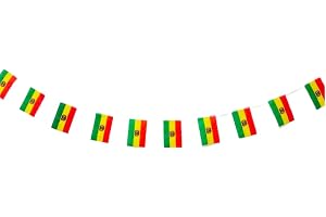 Bolivia flagga 40 enheter Bolivia flagga, krans Bolivia 11.4M, Bolivia vimplar, Bolivia nationella flagga 14 x 21 cm för träd