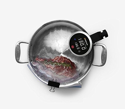 Anova Precision Cooker Bluetooth & WI-FI 220v UK Plug