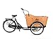Produktbild POPAL - elektrische Bakfiets - Cangoo Scoobi - Mittelmotor - 8 Gang Schaltung - E-Bike - Elektro Transportfahrrad Lastenfahrrad Kinder Transport