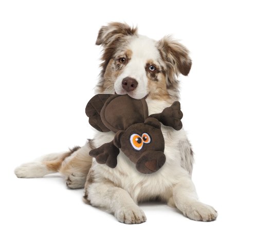 Hear-Doggy-Flattie-Ultrasonic-Dog-Toy