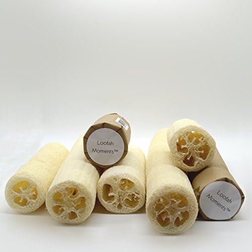 Loofah Momentstm | 2 loofah sponges
