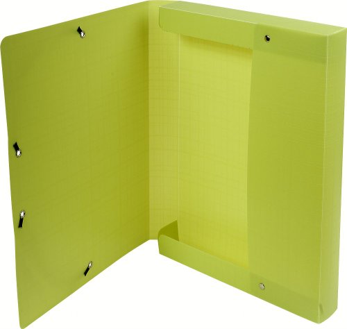 Exacompta 553573E - Carpeta de proyecto con goma color verde Exacompta 553573E - Carpeta de proyecto con goma color verde