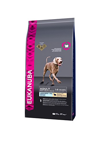 Eukanuba-Eukanuba-Adult-Breed-Lamb-and-Rice-Large-12-Kg-Pack-of-1