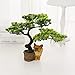 Produktbild Künstliche Bonsai Tree Cedar Potted, 26Cm Kunststoff Replica - Simulation Dekorative Blumen Gefälschte Green Pot Plants Ornamente Home Dekor - Schreibtisch, Hotel, Raum Dekoration,Chihuahua2