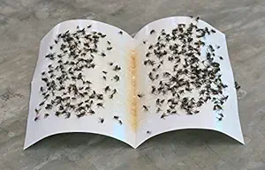 LJL Traders Fly Trap Sticker Paper/Sticky Traps - Pack of 10