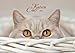 Katzen Bildkalender 2014 by 