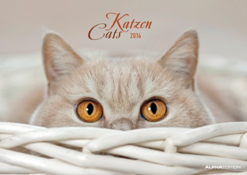 Katzen Bildkalender 2014
