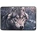 Produktbild CehTureal Carpet Wolf Predator View Doormat Indoor Outdoor EntranceFloor Mat Bathroom 23.6 X 15.7 Inch