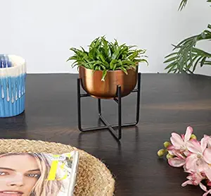 JULPIC Black Copper Set of 2 Desk Bowl Planters for Indoor Decoration | Size- Small | Metal Planters Flower Pots