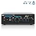 Produktbild Pyle PTAU45 2.0 Haus Verkabelt Schwarz - Audioverstärker (2.0 Kanäle, 120 W, Klemmleistenanschluss, RCA, 110-220, 210 mm)