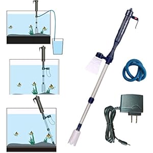 [Gesponsert]Elektrischer Fischbe