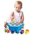 Quercetti Daisy Shape Sorter