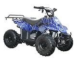 quad 110cc raptor Color: Azul 9L azul Spider cuerpo plástico Fender 50 cc 70 cc 90 cc 110 cc 125 cc ATV Quad aps03
