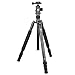 Price comparison product image SIRUI T-2004XL/E-20 Travel Tripod with E-20 Ball Head - Black