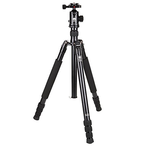 Sirui T-2004XL/ E-20 Dreibeinstativ Aluminium mit Kopf, Tasche, Gurt Sirui T-2004XL/ E-20 Dreibeinstativ Aluminium mit Kopf, Tasche, Gurt