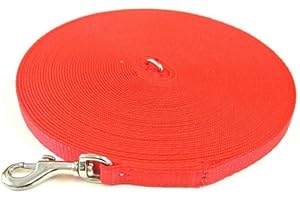 CHURCH PRODUCTS UK Puppy Training Lead Small Dog Recall Obedience Training Leash 10ft (3m) in 13mm Strong Webbing in (Red)