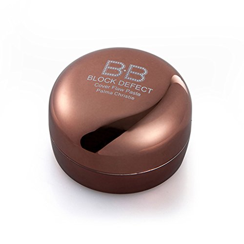 Bb Creme Concealer Make-up Basis Fundament Gesichtspuder + Silber Griff Bürste - 5