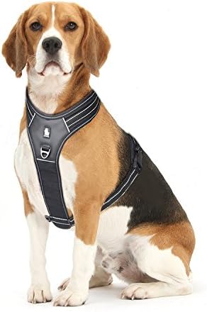 Front Range Dog Harness - No Pull Easy Walk Chest Harness with Reflective Vest Comfortable Safty Handle Two Leash Attachments Black M