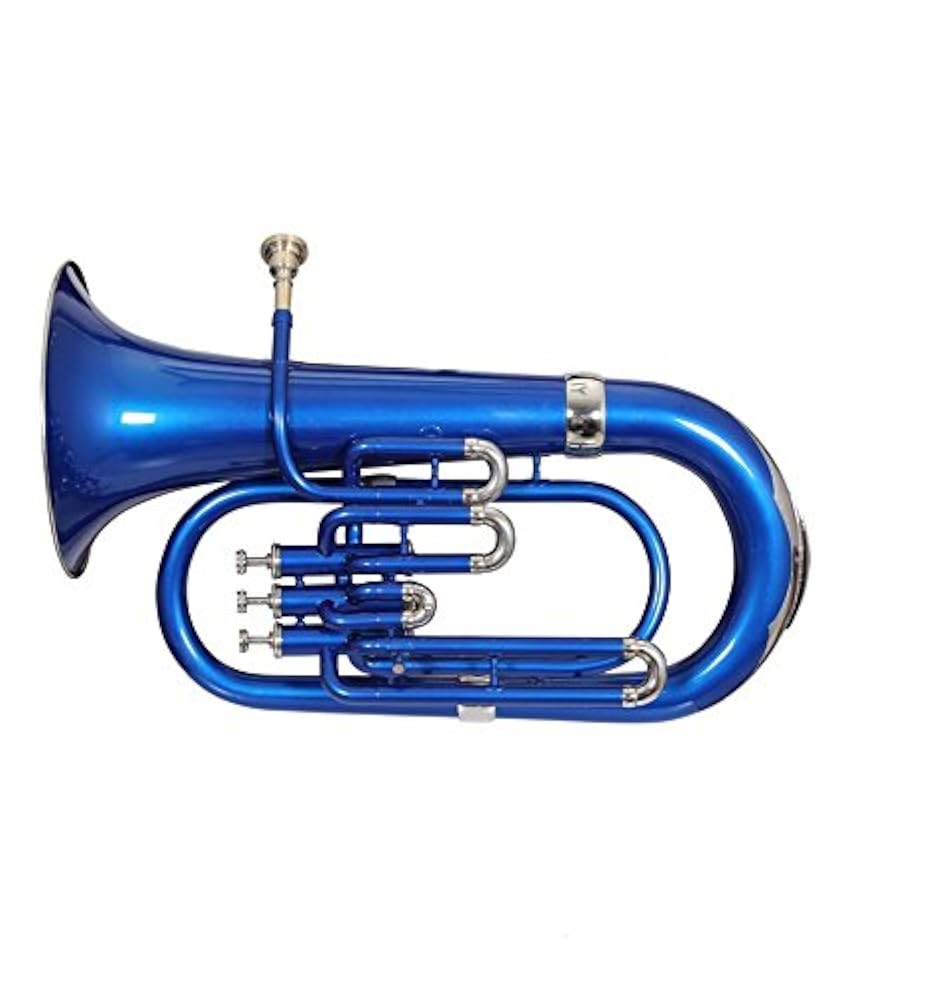 баритон струнный инструмент. эуфониум музыкальный инструмент. Euphonium инструмент. Conn bh-651 "bb". эуфониум духовой инструмент.