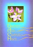 Bachblüten-Buch /Solo: Blüten als Chance und Hilfe by