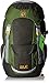 Produktbild Jack Wolfskin Kinder Kids Explorer 20 Rucksack, Antique Green, ONE Size