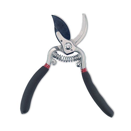 Gartenschere / SKS 6 Tradition Rosenscheren-und Gehölzschere / Original S.Kunde & Sohn Germany / NEU seit 01.03.2017 - 2