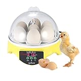 brutapparat hühnereier mieten Leicht, geeignet für Haushalt, Größe Labor oder Lehrzwecke zu.