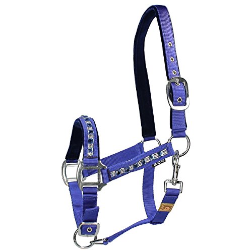Preisvergleich Produktbild Epplejeck Halfter Royal Diamond - Blau - Gr. Pony