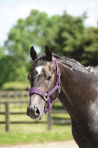 Cottage-Craft-Candy-Stripe-Head-Collar