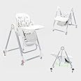 MiniJones Multi-functional Swing & Feeding Chair Adjustable backrest Adjustable Height Washable Seat (White)